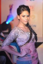 Model walks for Manali Jagtap Show at Global Magazine- Sultan Ahmed tribute fashion show on 15th Aug 2012 (226).JPG